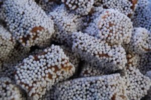 baal mithai