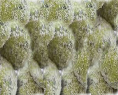 त्यौहार स्पेशल: पान कोकोनट बॉल्स बनाने की सरल विधि