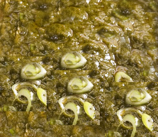 स्वादिष्ट हरे मटर का निमोना बनाने की सरल विधि