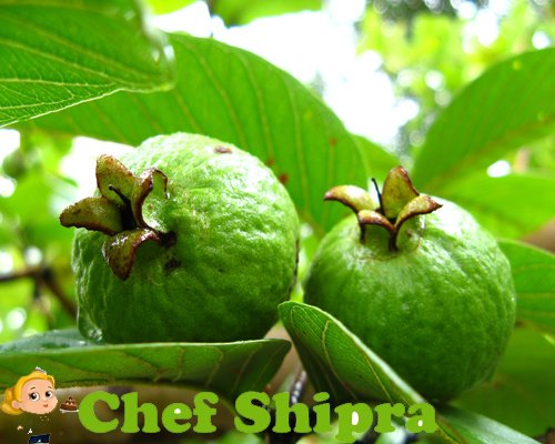 अमरुद खाने के फायदे जानकार आप रह जाएंगे दंग