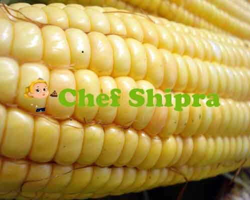 chef shipra recipe